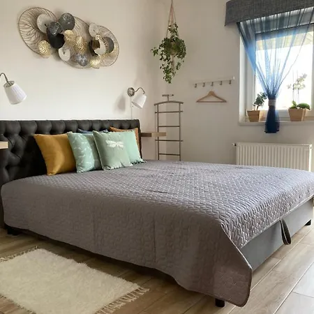 Апартаменты Libellula *